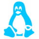 linux